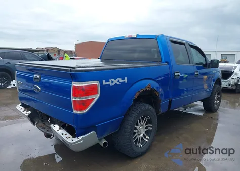 2009 Ford F-150 Fx4/King Ranch/Lariat/Platinum/Xl/Xlt z USA, uszkodzony, nr VIN 1FTPW14V49FB13310